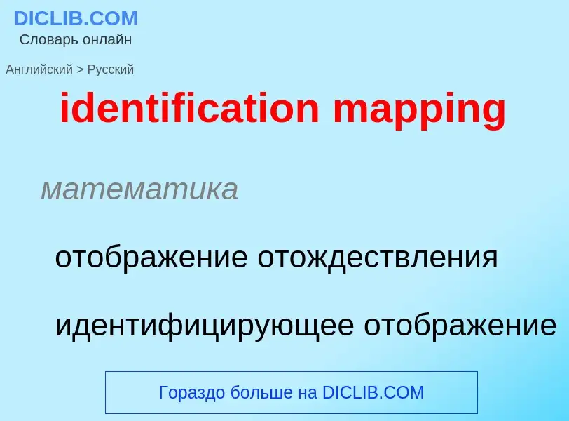 What is the Russian for identification mapping? Translation of &#39identification mapping&#39 to Rus