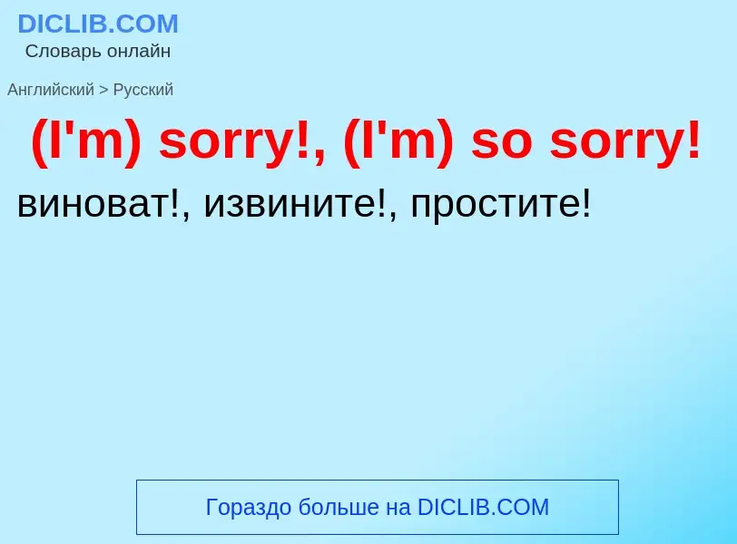 Vertaling van &#39(I'm) sorry!, (I'm) so sorry!&#39 naar Russisch