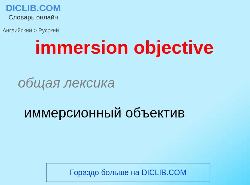 Как переводится immersion objective на Русский язык