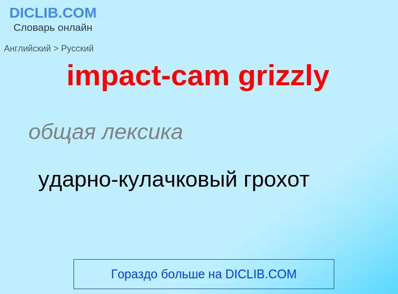 Как переводится impact-cam grizzly на Русский язык