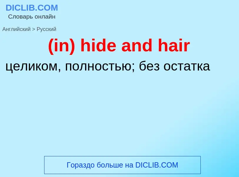 Как переводится (in) hide and hair на Русский язык