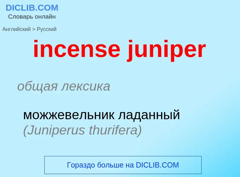 Как переводится incense juniper на Русский язык