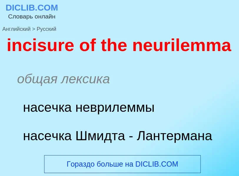 ¿Cómo se dice incisure of the neurilemma en Ruso? Traducción de &#39incisure of the neurilemma&#39 a