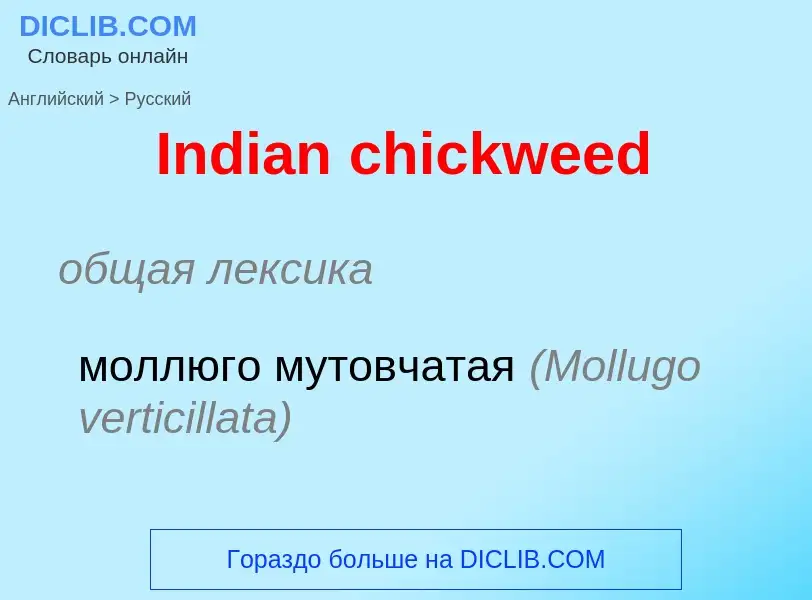 Vertaling van &#39Indian chickweed&#39 naar Russisch