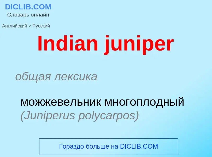 Как переводится Indian juniper на Русский язык