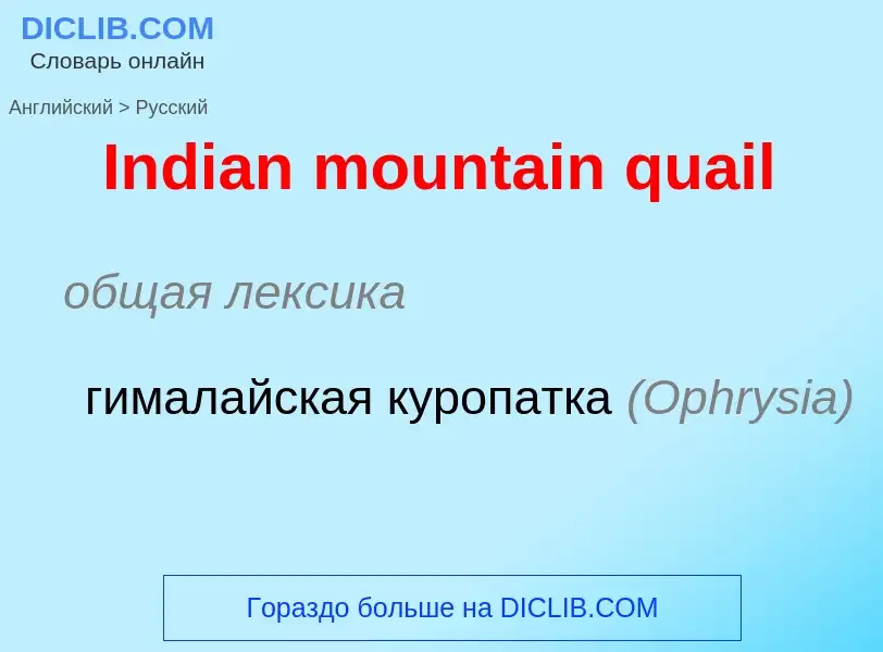 Μετάφραση του &#39Indian mountain quail&#39 σε Ρωσικά