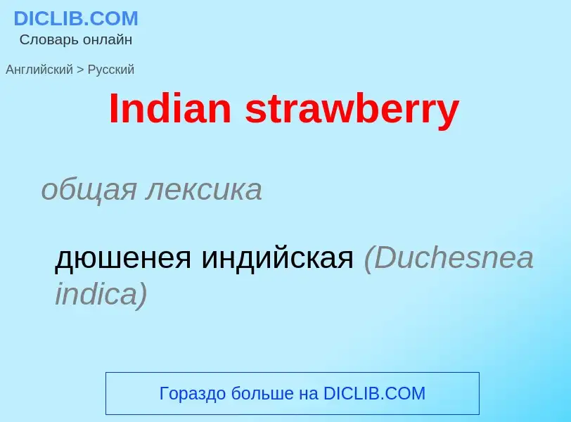 What is the Russian for Indian strawberry? Translation of &#39Indian strawberry&#39 to Russian