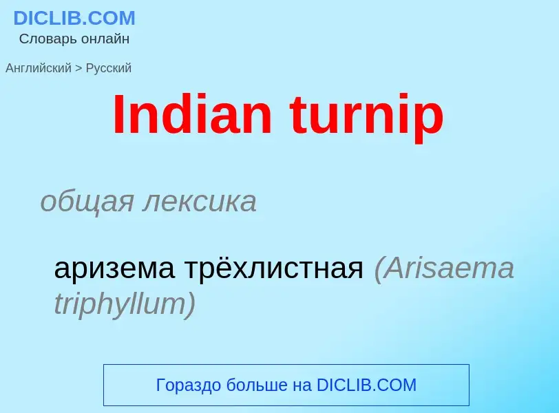 Как переводится Indian turnip на Русский язык