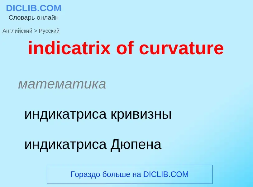 Как переводится indicatrix of curvature на Русский язык