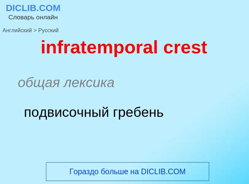 Как переводится infratemporal crest на Русский язык