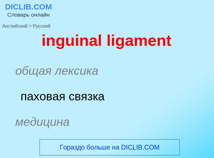 Μετάφραση του &#39inguinal ligament&#39 σε Ρωσικά