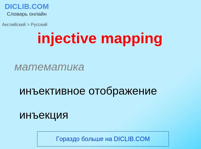 Übersetzung von &#39injective mapping&#39 in Russisch