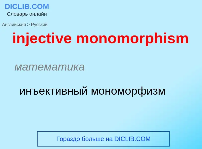 Übersetzung von &#39injective monomorphism&#39 in Russisch