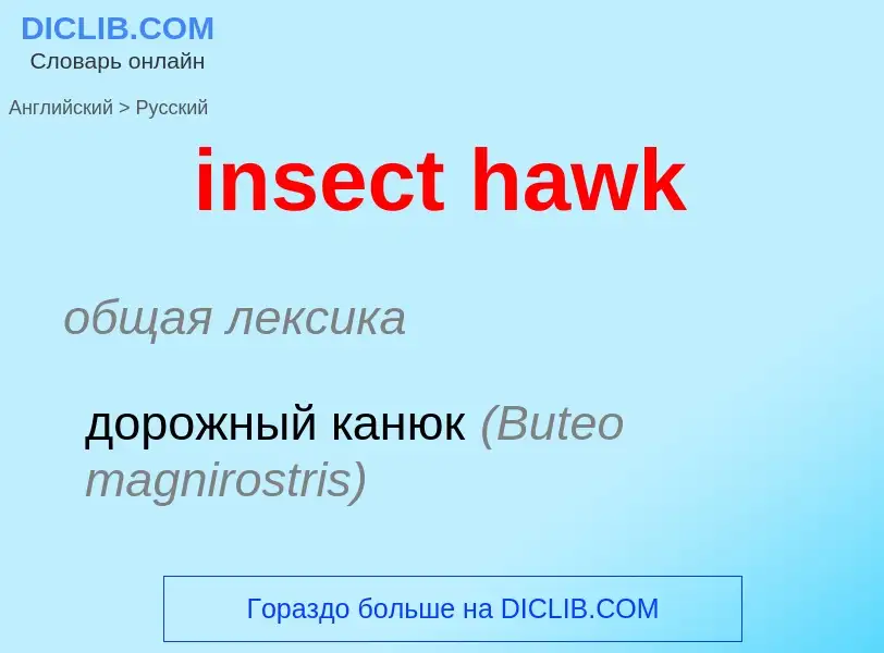 Как переводится insect hawk на Русский язык