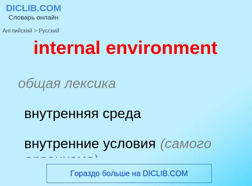 Как переводится internal environment на Русский язык