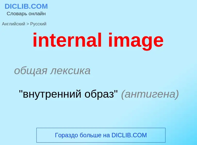 Como se diz internal image em Russo? Tradução de &#39internal image&#39 em Russo