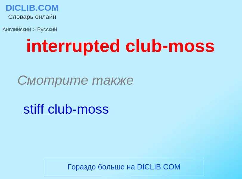 Как переводится interrupted club-moss на Русский язык