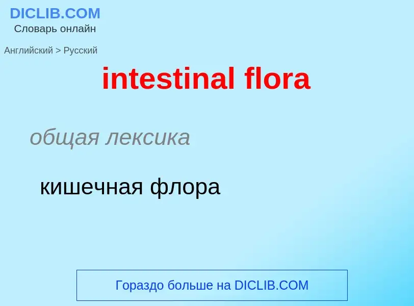 What is the الروسية for intestinal flora? Translation of &#39intestinal flora&#39 to الروسية