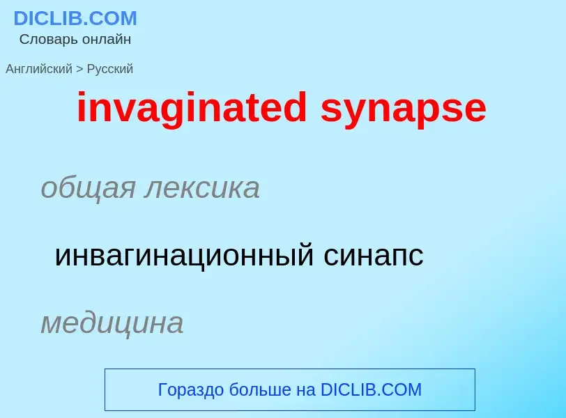 Como se diz invaginated synapse em Russo? Tradução de &#39invaginated synapse&#39 em Russo