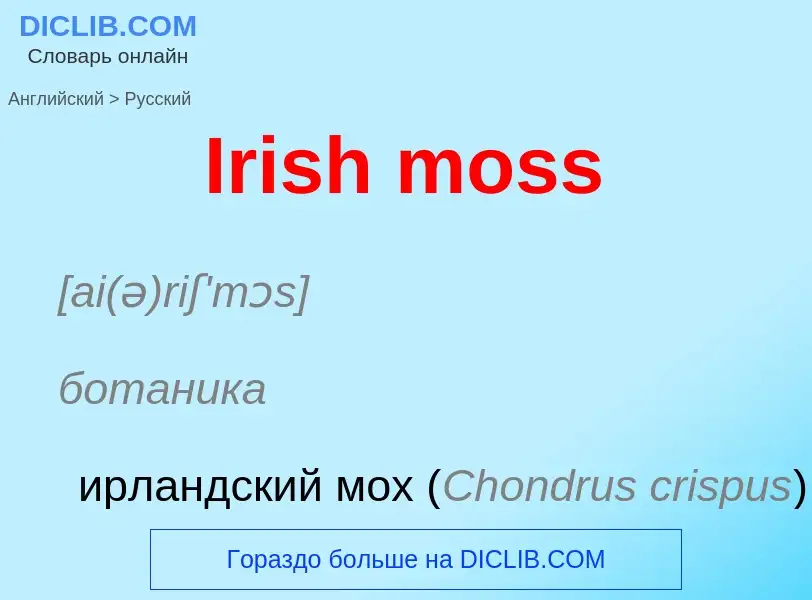 Como se diz Irish moss em Russo? Tradução de &#39Irish moss&#39 em Russo