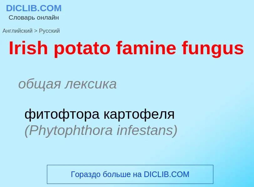 Μετάφραση του &#39Irish potato famine fungus&#39 σε Ρωσικά