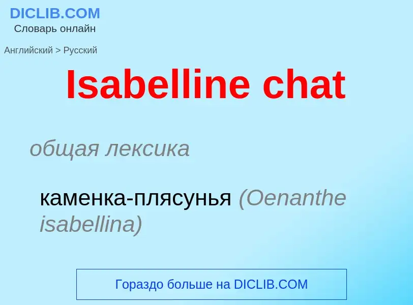 Vertaling van &#39Isabelline chat&#39 naar Russisch