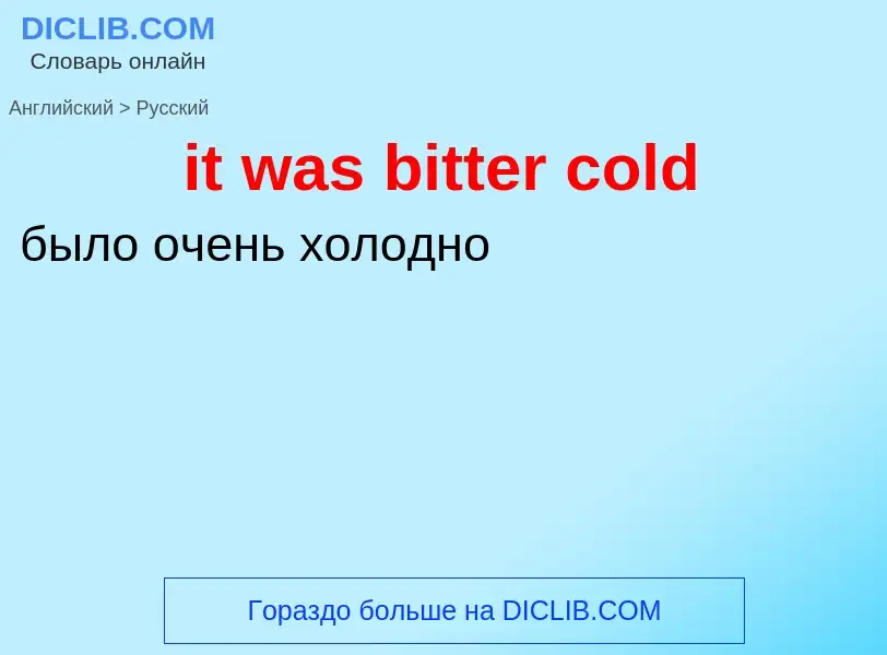 Vertaling van &#39it was bitter cold&#39 naar Russisch