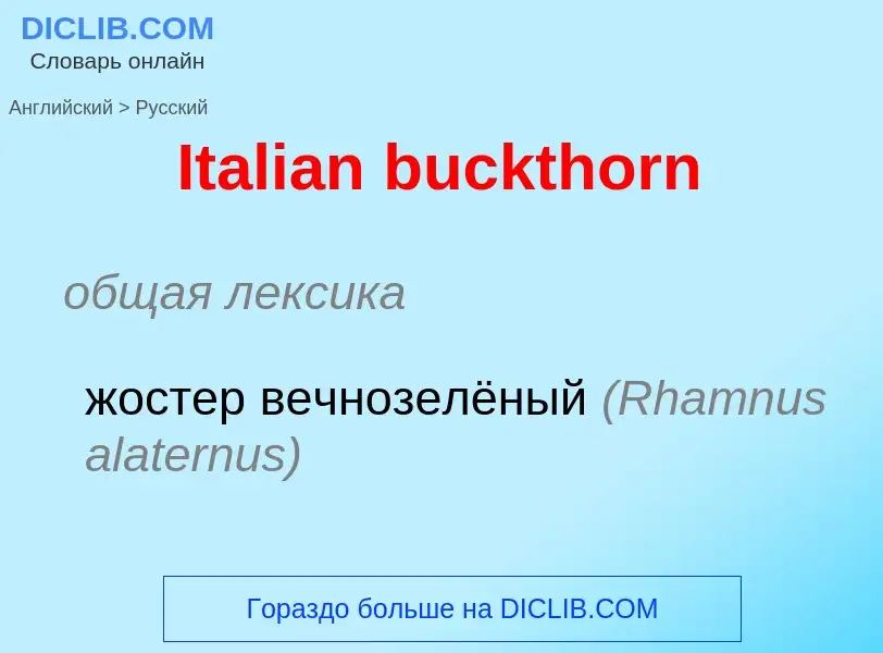 ¿Cómo se dice Italian buckthorn en Ruso? Traducción de &#39Italian buckthorn&#39 al Ruso