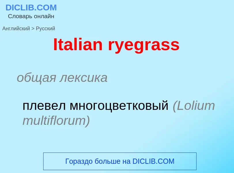 Как переводится Italian ryegrass на Русский язык