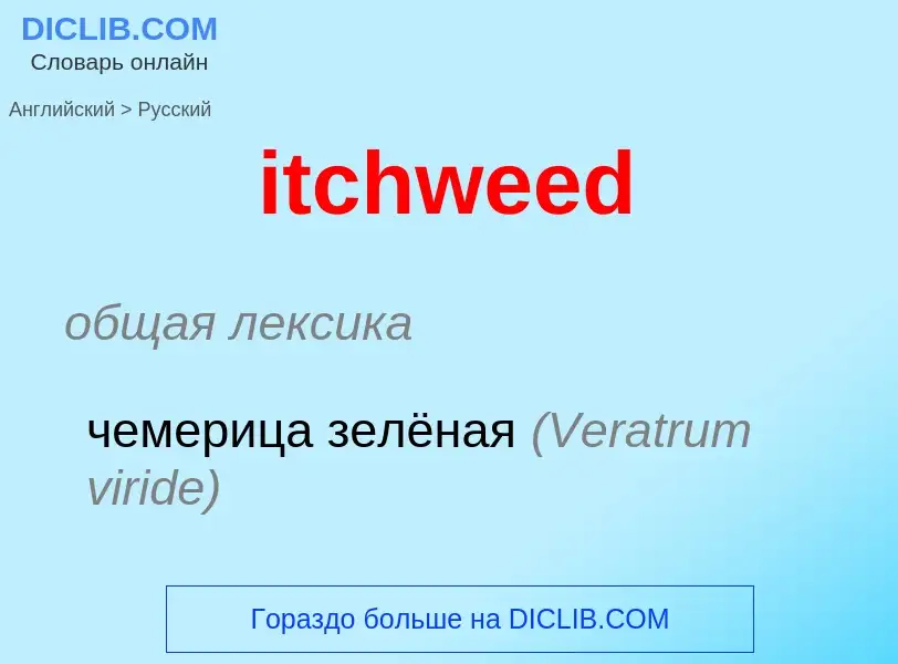 Vertaling van &#39itchweed&#39 naar Russisch