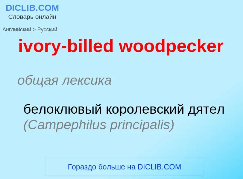 Vertaling van &#39ivory-billed woodpecker&#39 naar Russisch