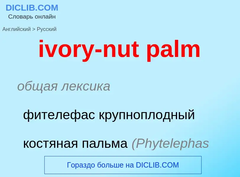 Vertaling van &#39ivory-nut palm&#39 naar Russisch