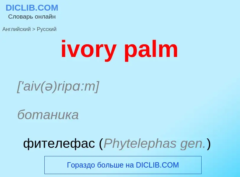 Vertaling van &#39ivory palm&#39 naar Russisch