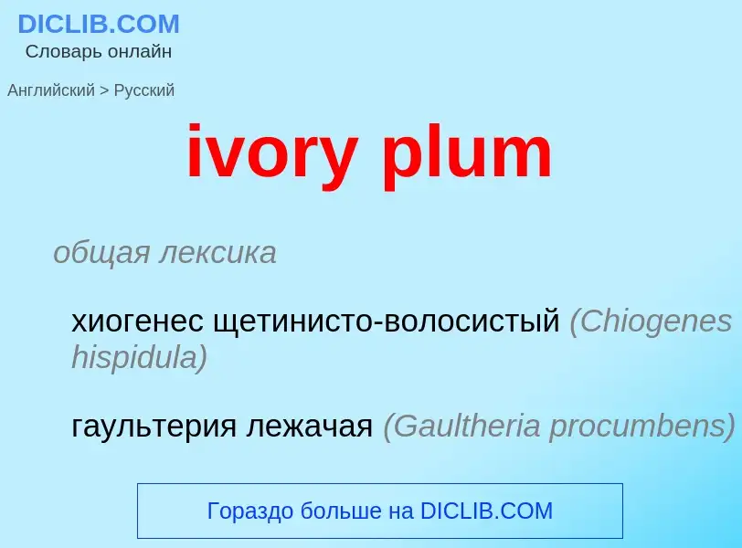 Vertaling van &#39ivory plum&#39 naar Russisch