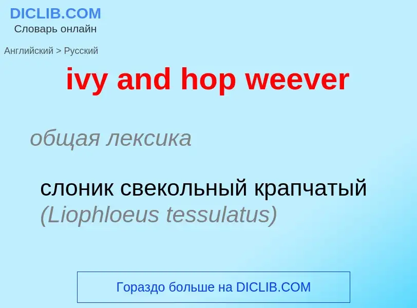 Как переводится ivy and hop weever на Русский язык