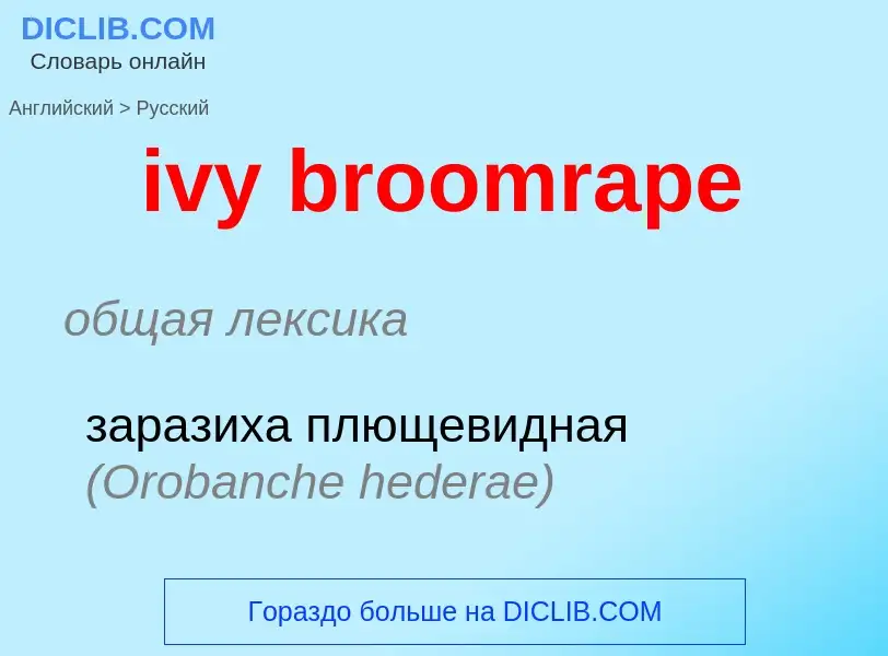 ¿Cómo se dice ivy broomrape en Ruso? Traducción de &#39ivy broomrape&#39 al Ruso