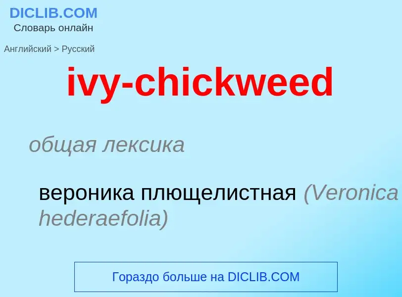 Vertaling van &#39ivy-chickweed&#39 naar Russisch