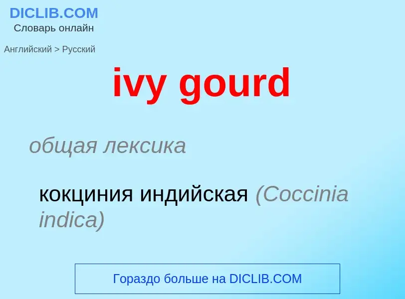 Vertaling van &#39ivy gourd&#39 naar Russisch