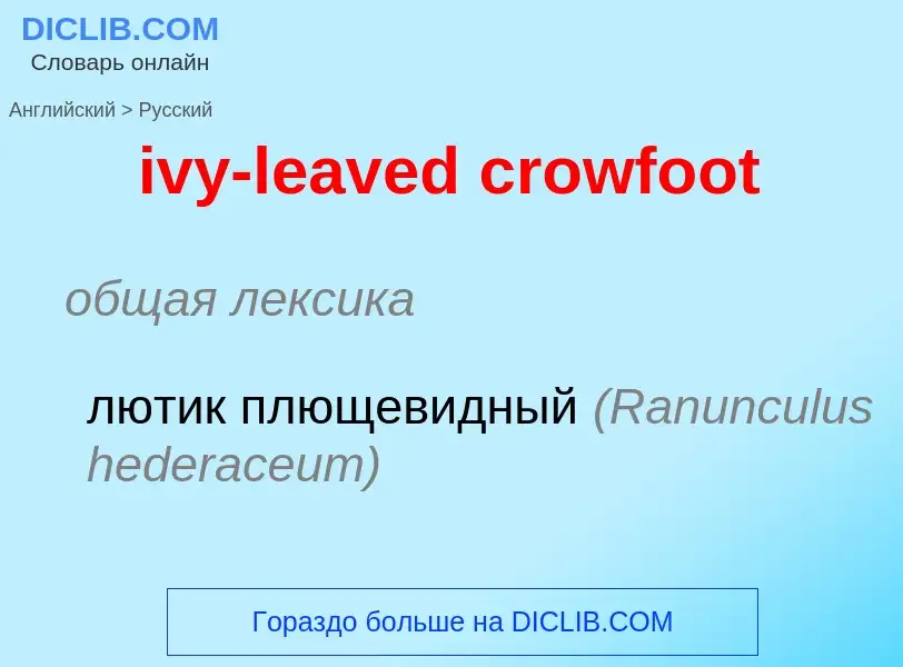 Как переводится ivy-leaved crowfoot на Русский язык