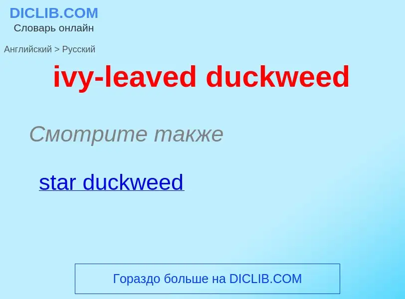 Vertaling van &#39ivy-leaved duckweed&#39 naar Russisch