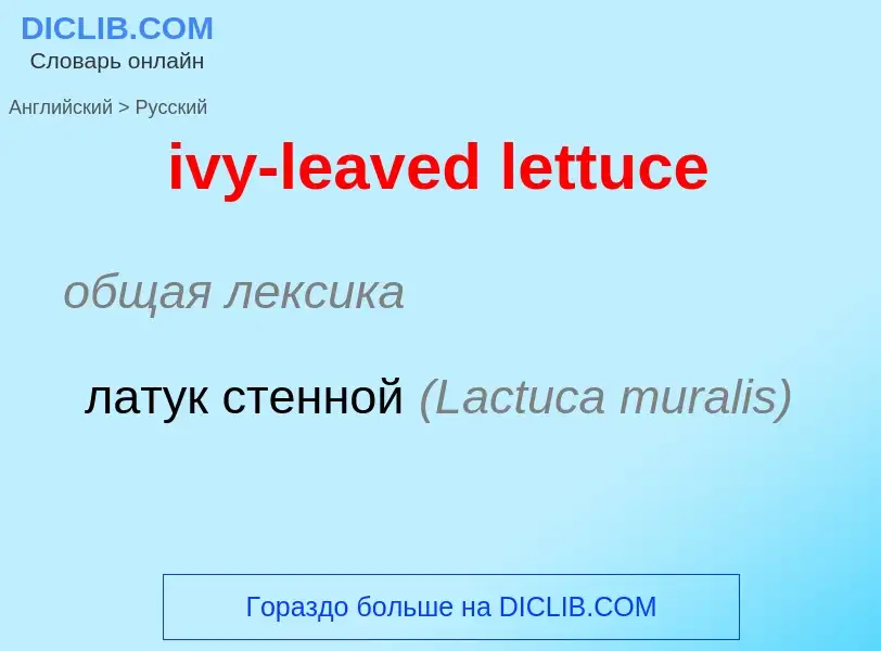 Μετάφραση του &#39ivy-leaved lettuce&#39 σε Ρωσικά