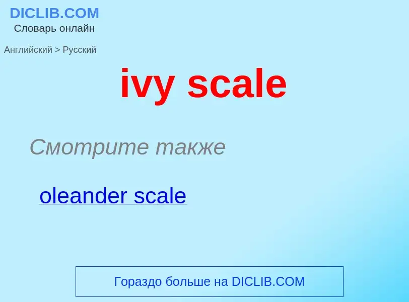 Как переводится ivy scale на Русский язык