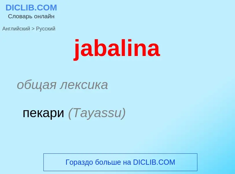 What is the الروسية for jabalina? Translation of &#39jabalina&#39 to الروسية