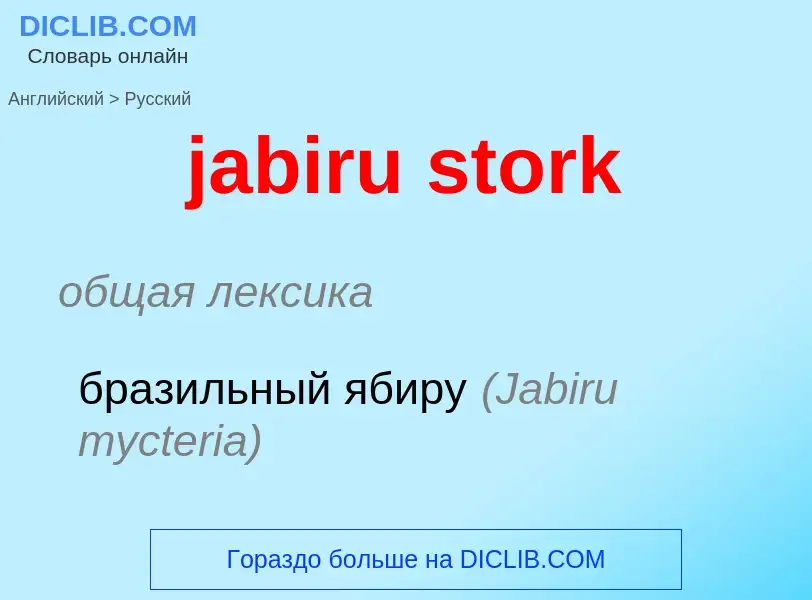 Как переводится jabiru stork на Русский язык