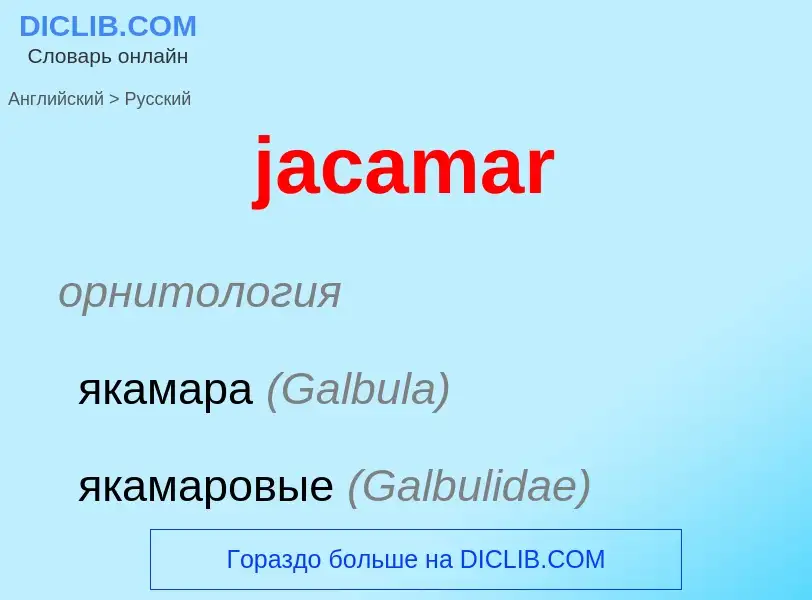 Как переводится jacamar на Русский язык