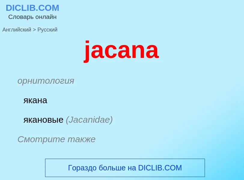 What is the الروسية for jacana? Translation of &#39jacana&#39 to الروسية