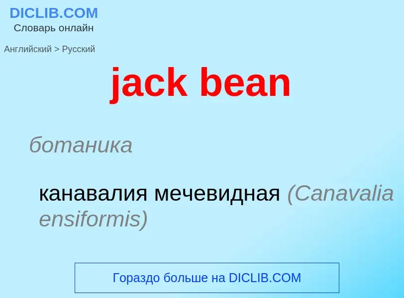 What is the الروسية for jack bean? Translation of &#39jack bean&#39 to الروسية