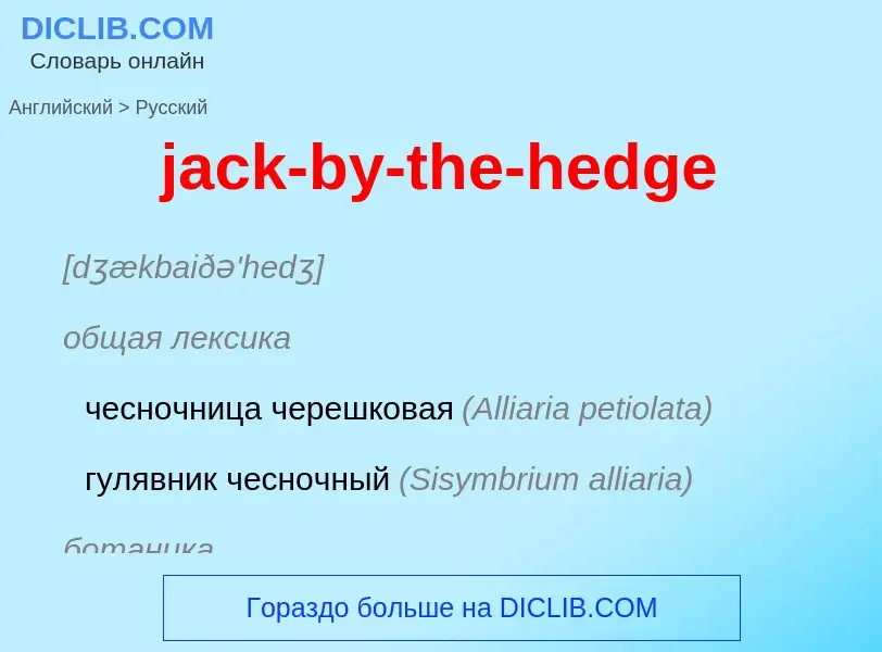 ¿Cómo se dice jack-by-the-hedge en Ruso? Traducción de &#39jack-by-the-hedge&#39 al Ruso