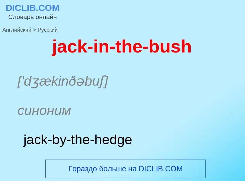 ¿Cómo se dice jack-in-the-bush en Ruso? Traducción de &#39jack-in-the-bush&#39 al Ruso