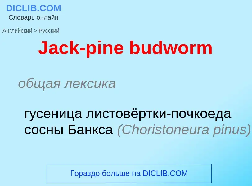 Μετάφραση του &#39Jack-pine budworm&#39 σε Ρωσικά